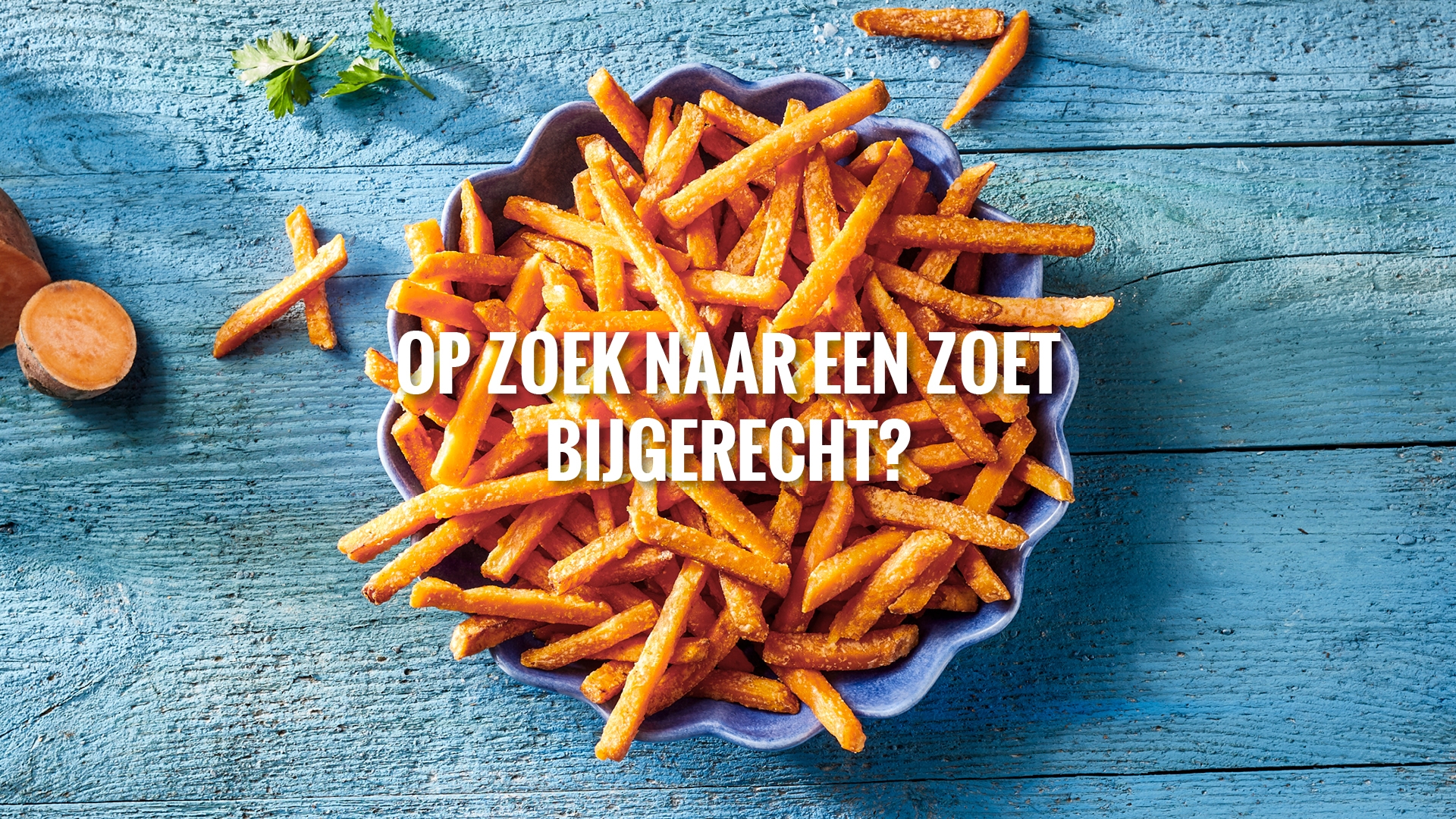 AVFS-240192-07 House of Fries website - Fries Improvement - Concept page Sweet Potato - Header - 1920x1080 - NL