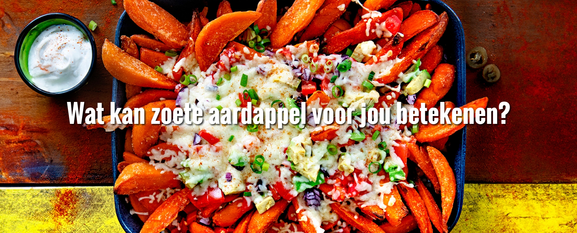 AVFS-240192-07 House of Fries website - Fries Improvement - Concept page Sweet Potato - Image Block - 1095x438px - NL