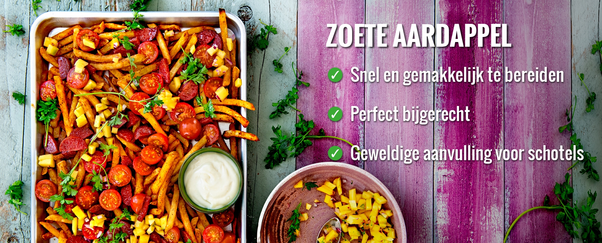 AVFS-240192-07 House of Fries website - Fries Improvement - Concept page Sweet Potato - Image Block - 1920x775px - NL