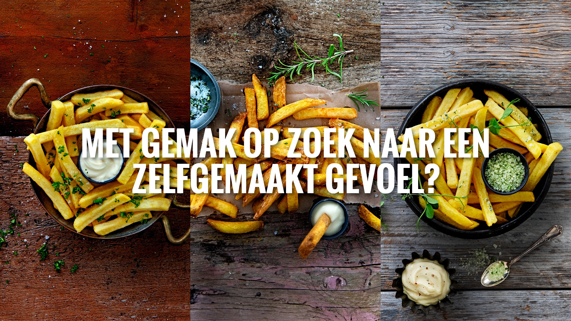 avfs-240194-08_house_of_fries_-_new_concept_-_concept_page_home_made_-_header_-_1920x1080.jpg