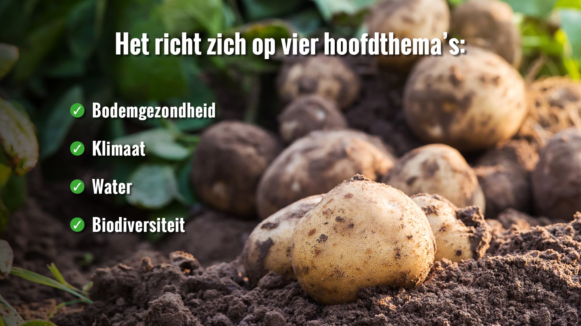 AVFS-240195-02 House of Fries website - New Horizons - Field to Fork - Image Block - 1920x1177px - NL